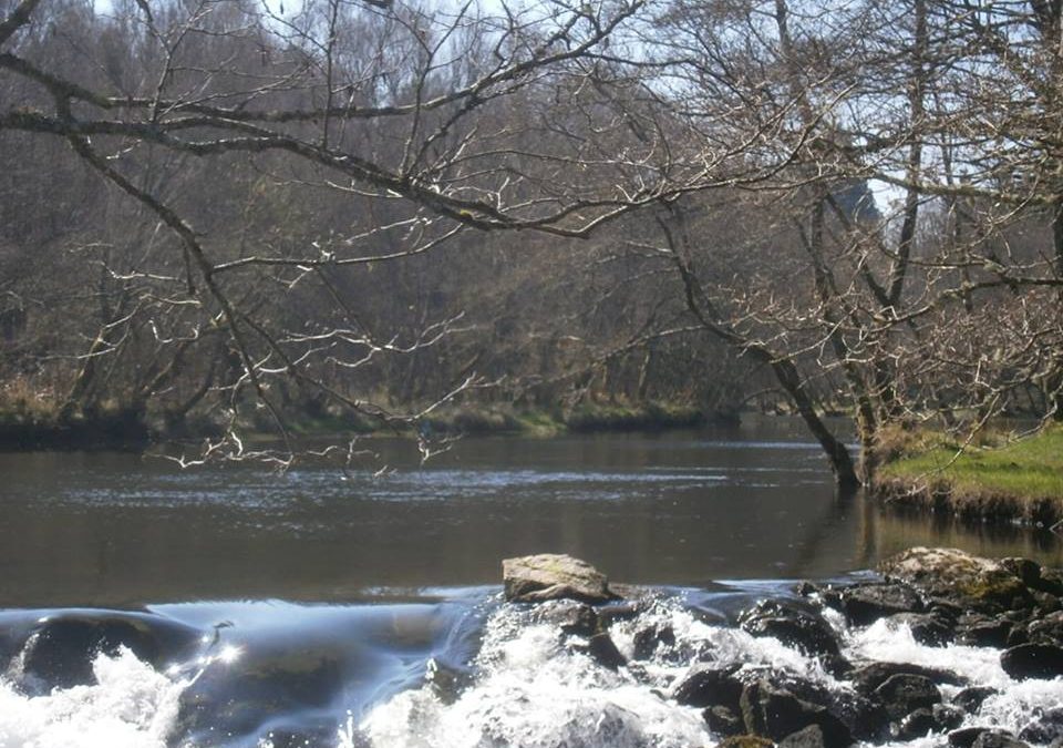 Pensamiento simiente 30 marzo 2016: viéndoos en la música, en la luz, en el sol…