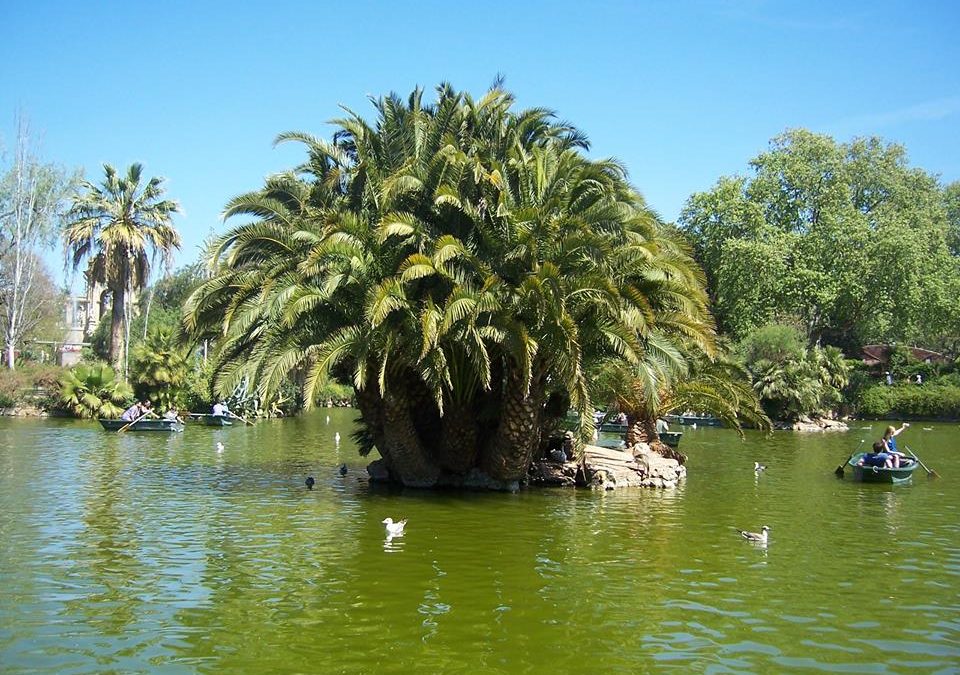 Pensamiento simiente 18 abril 2016: sobre la verdadera sensibilidad y cómo manifestarla