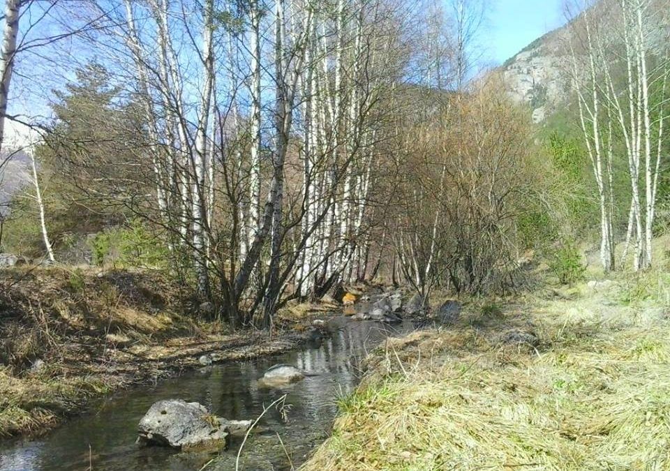 Pensamiento simiente 29 abril 2016: encontraremos un refugio…