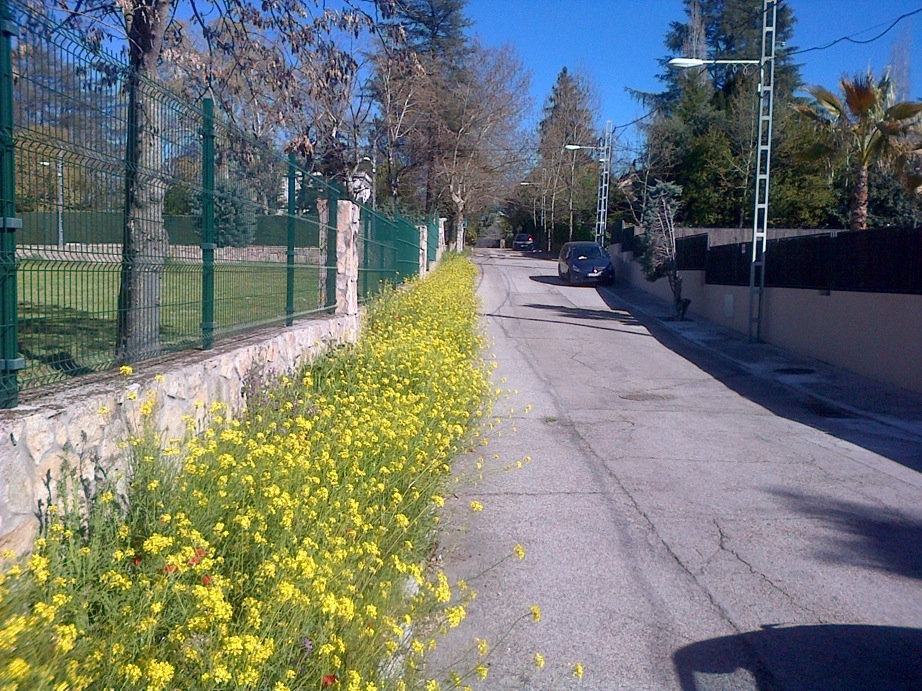 Pensamiento simiente 11 abril 2016: esa comunión diaria e ininterrumpida con una multitud de criaturas