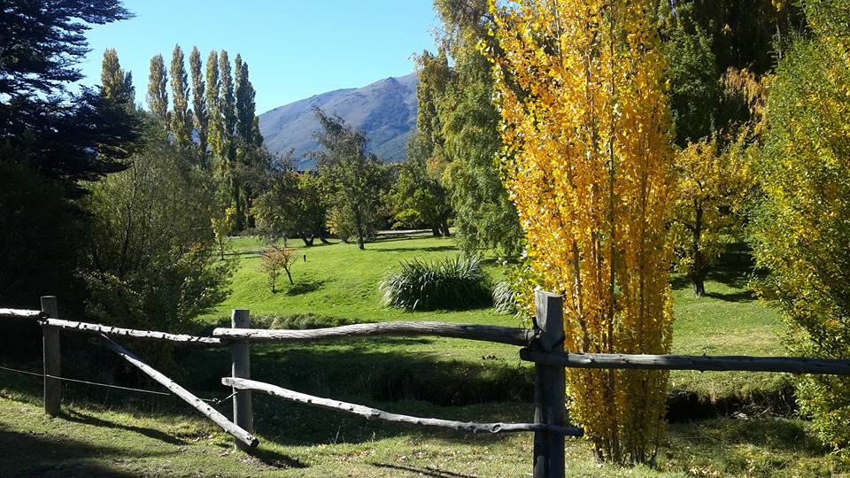 Pensamiento simiente 20 abril 2016: la magia del agua