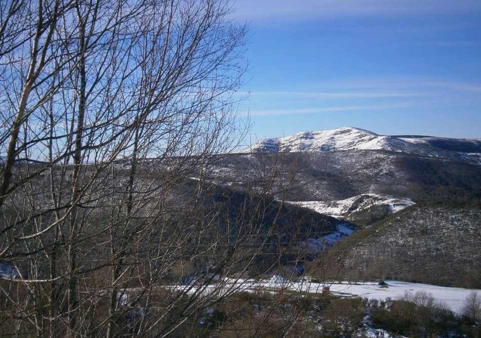 Pensamiento simiente 15 abril 2016: necesito la pureza, la luz, el espacio…