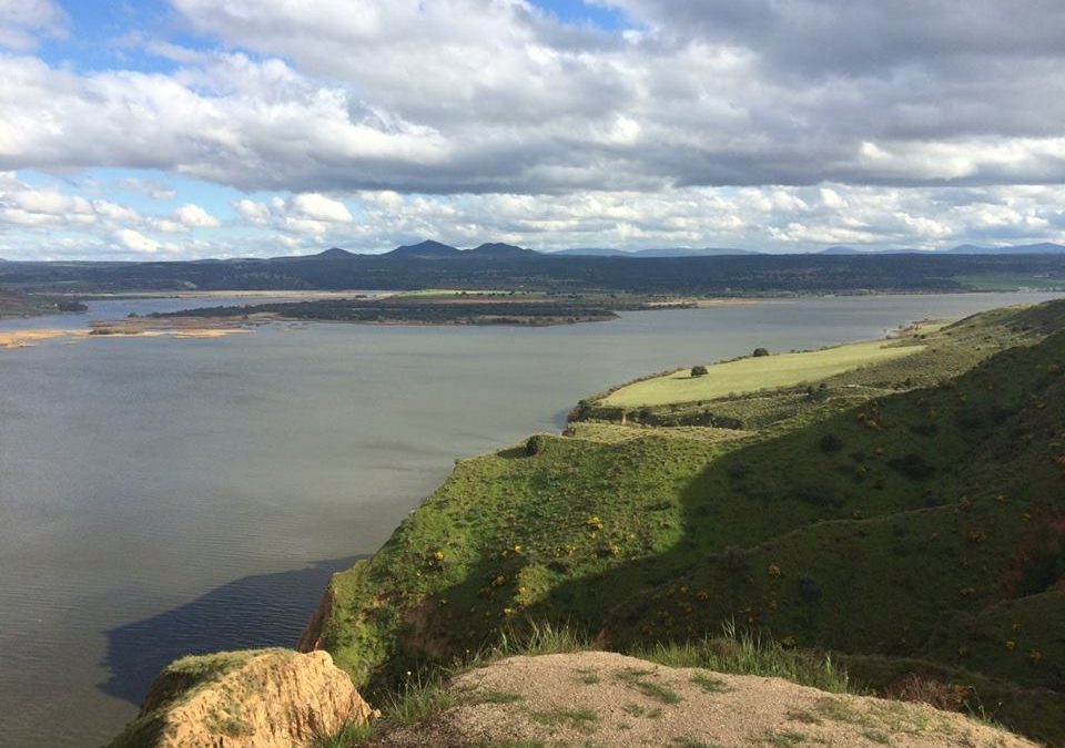 Pensamiento simiente 22 abril 2016: tratad de elevaros lo más alto posible, porque es arriba donde se encuentra la luz