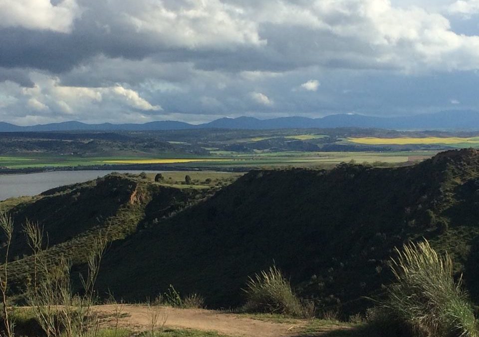 Pensamiento simiente 25 abril 2016: os acercaréis a la Divinidad…