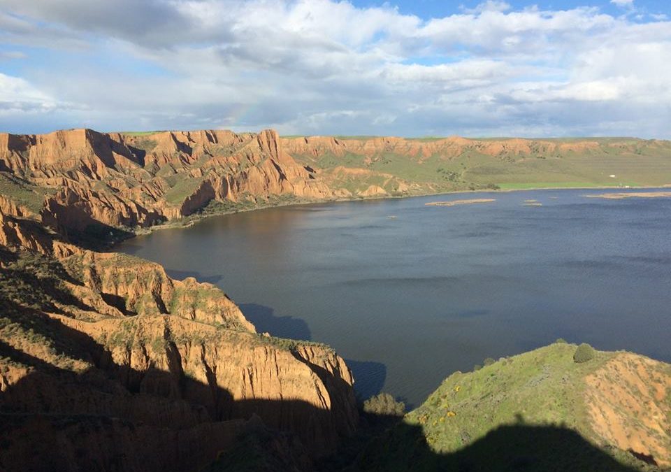 Pensamiento simiente 21 abril 2016: alimentad en vosotros vuestras virtudes divinas