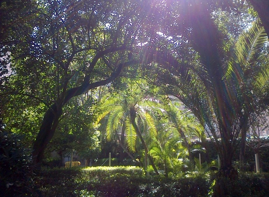 Pensamiento simiente 12 abril 2016: ponernos en contacto con el mundo divino