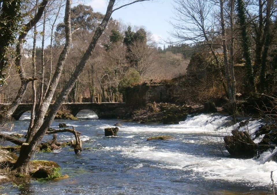 Pensamiento simiente 1 abril 2016: la base, la cima