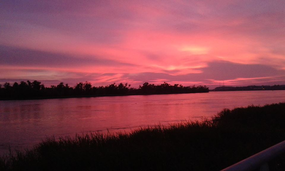 Pensamiento simiente 1 junio 2016: la vida es vasta y espléndida, la luz está en ellos