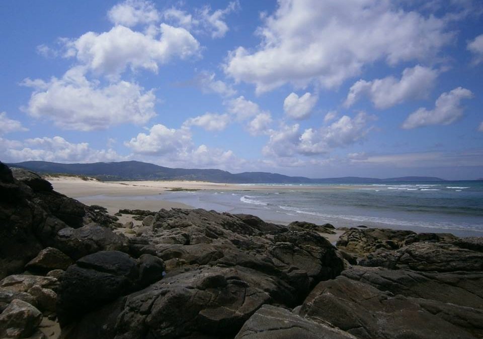 Pensamiento simiente 31 mayo 2016: y os vais del bosque felices y regenerados…