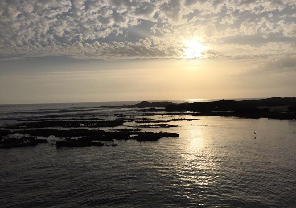 Pensamiento simiente 10 mayo 2016: Imaginad este estado extraordinario de dilatación, de dicha, de plenitud…