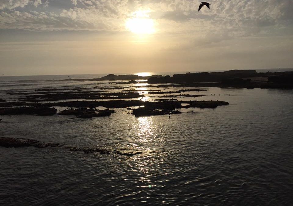 Pensamiento simiente 16 mayo 2016: las riquezas del espíritu