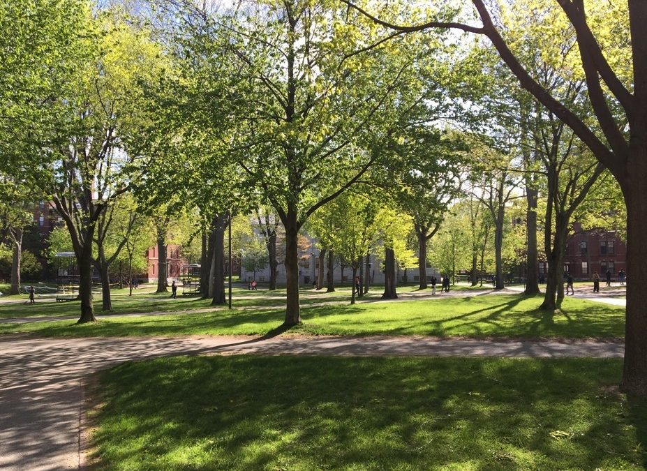 Pensamiento simiente 18 mayo 2016: la renuncia a las falsas identidades