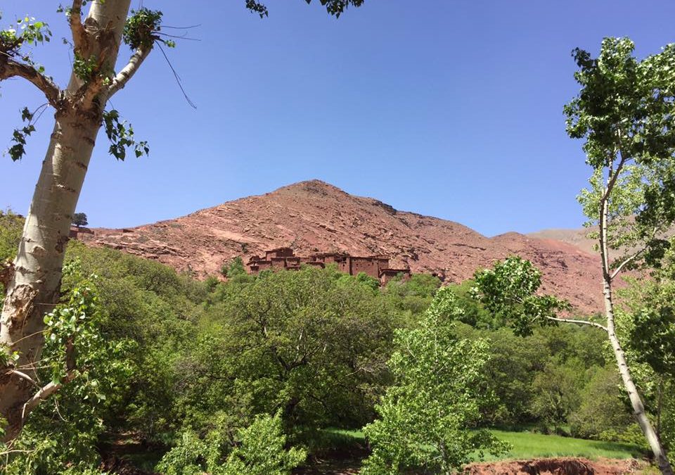 Pensamiento simiente 12 mayo 2016: purificarse