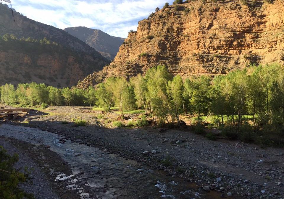 Pensamiento simiente 11 mayo 2016: cada mañana, al despertar…