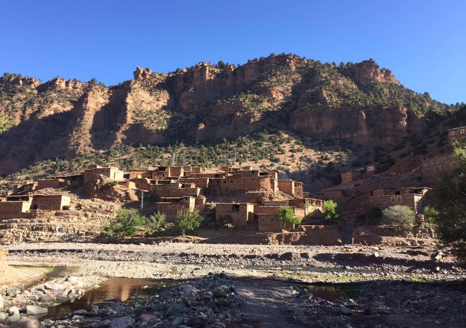 Pensamiento simiente 13 mayo 2016: como las lilas, podamos alzarnos puros y fuertes …