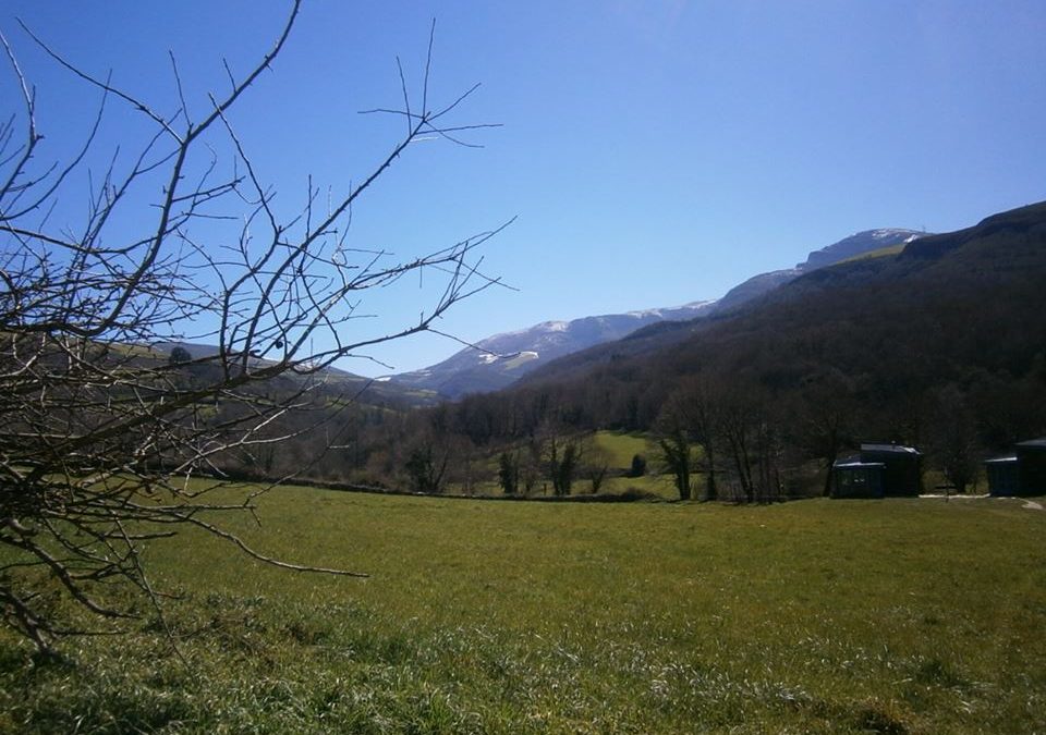 Pensamiento simiente 3 mayo 2016: con la luz y la omnipotencia del amor