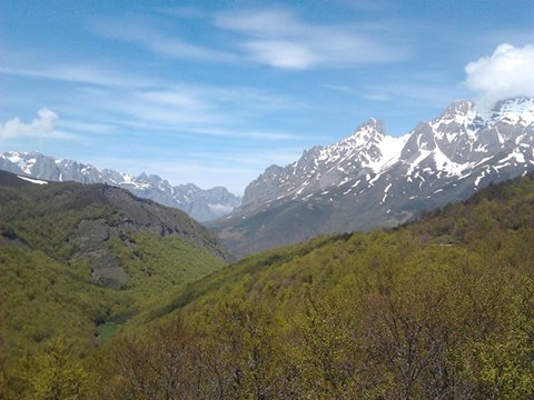 Pensamiento simiente 19 mayo 2016: los pastores han recibido las revelaciones