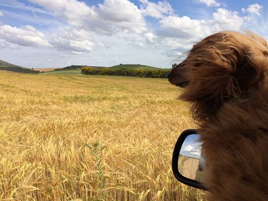 Pensamiento simiente 26 mayo 2016: la semilla divina