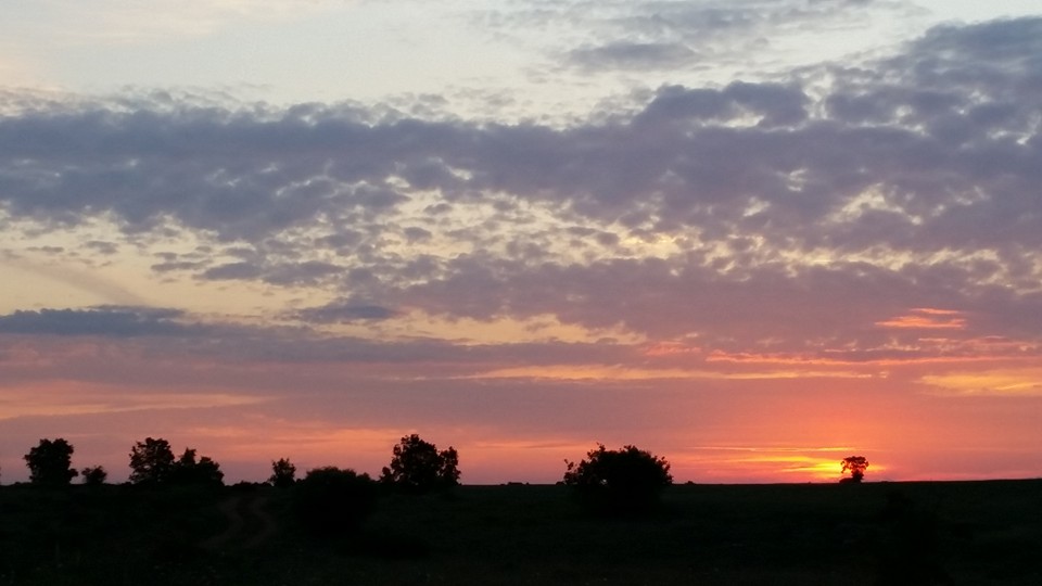 Pensamiento simiente 10 junio 2016: su luz, su calor y su vida