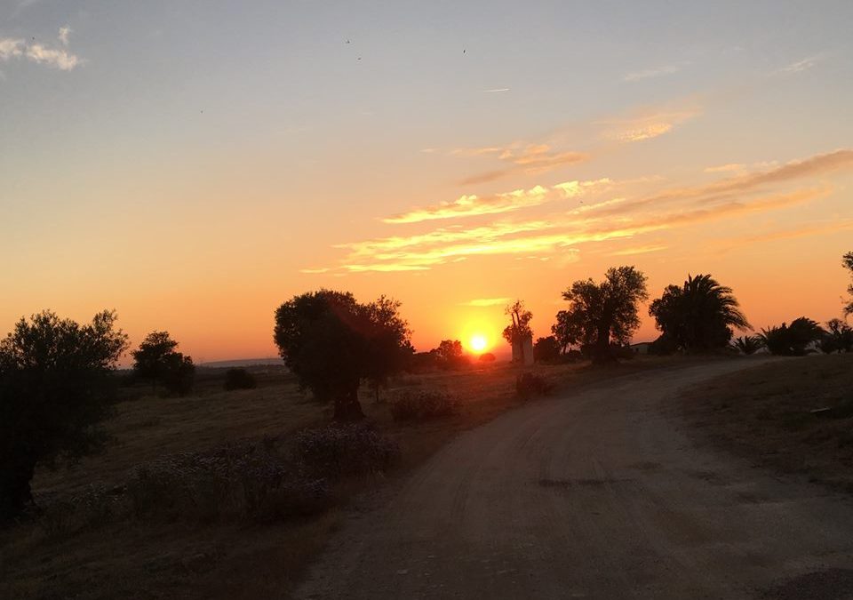 Pensamiento simiente 30 junio 2016: emprender un trabajo interior de desprendimiento, de purificación