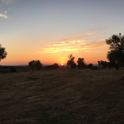 Pensamiento simiente 27 junio 2016: como el sol, envía la superabundancia de luz y de amor que desborda de él…