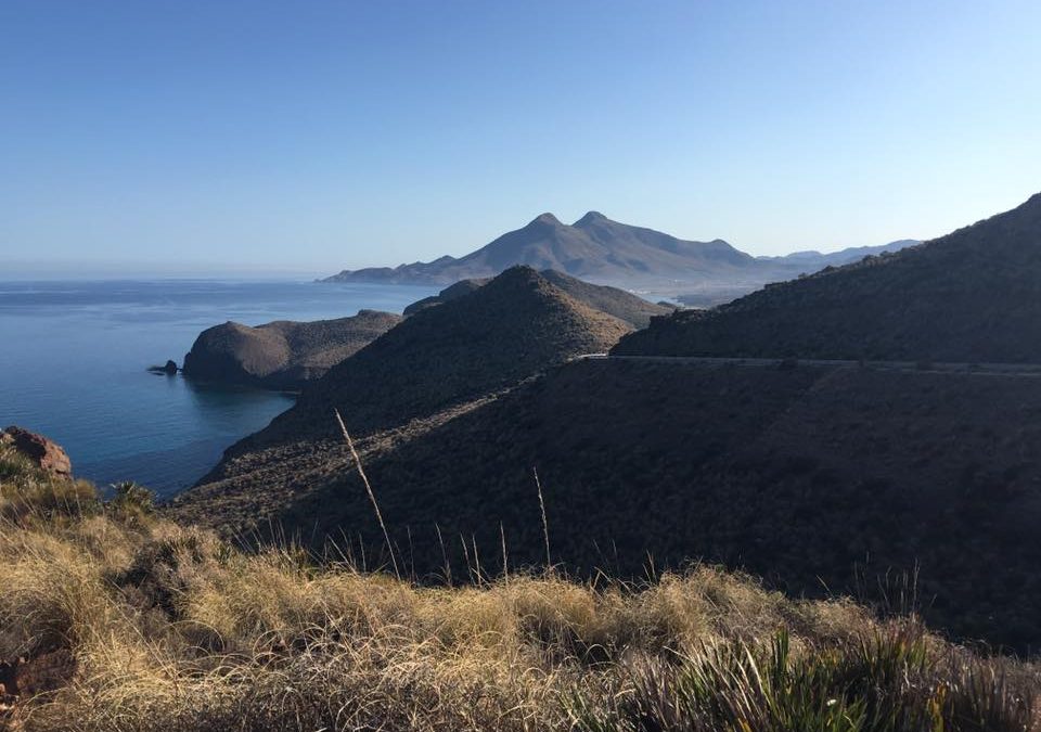 Pensamiento simiente 2 junio 2016: sea lo que sea que emprendáis, velad siempre por un buen comienzo