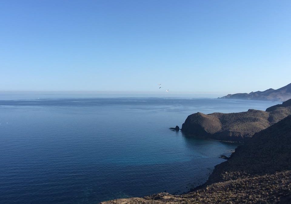 Pensamiento simiente 3 junio 2016: tomad el manantial como modelo