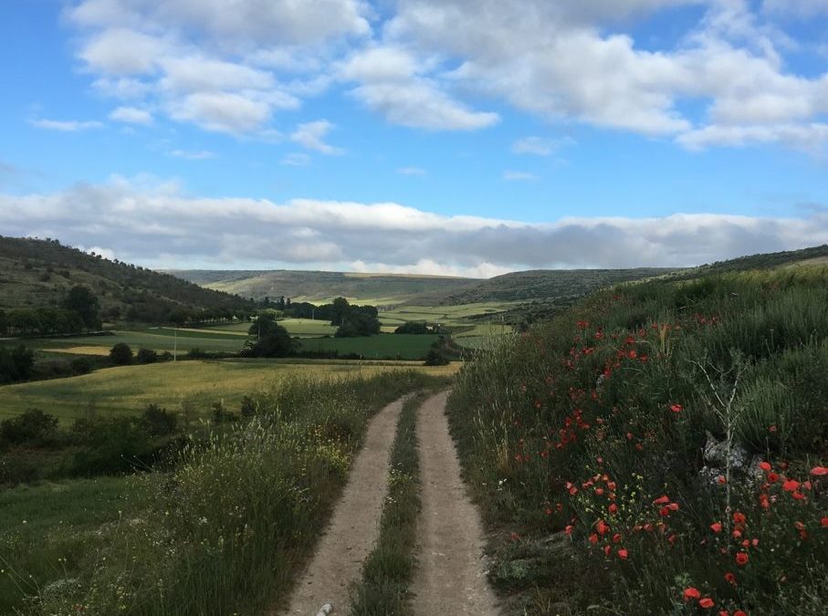 Pensamiento simiente 21 junio 2016: buscad la belleza, amadla…