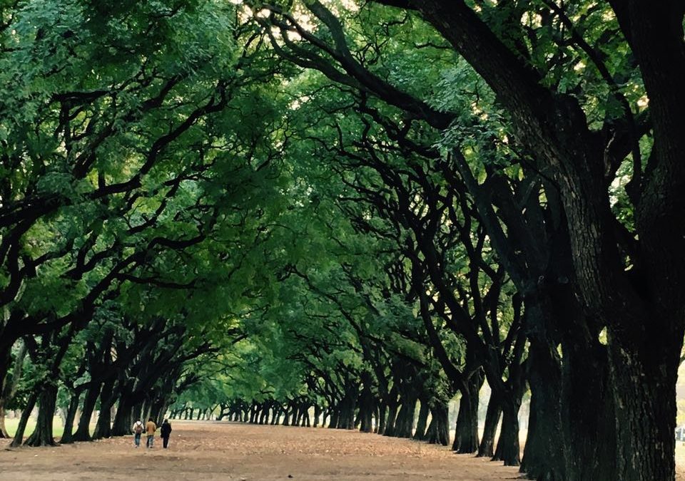 Pensamiento simiente 9 junio 2016: esforzaos en desprender el principio divino en vosotros