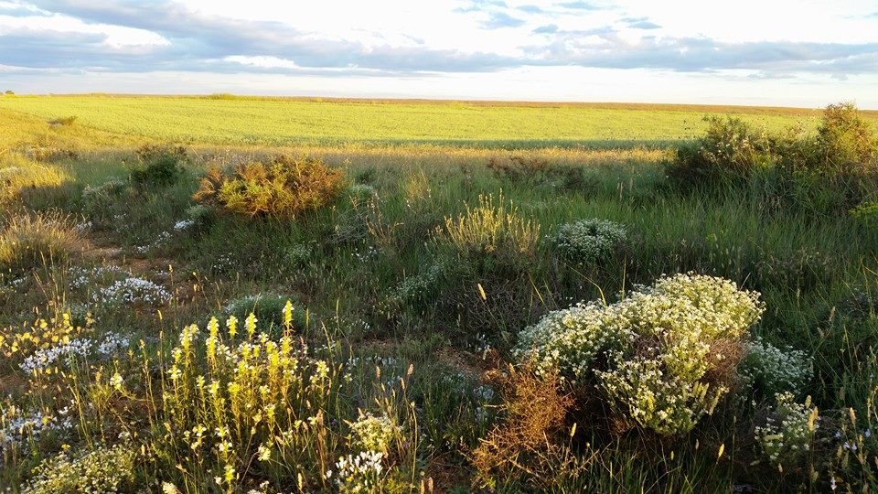 Pensamiento simiente 28 junio 2016: el amor divino es la mayor fuerza que existe
