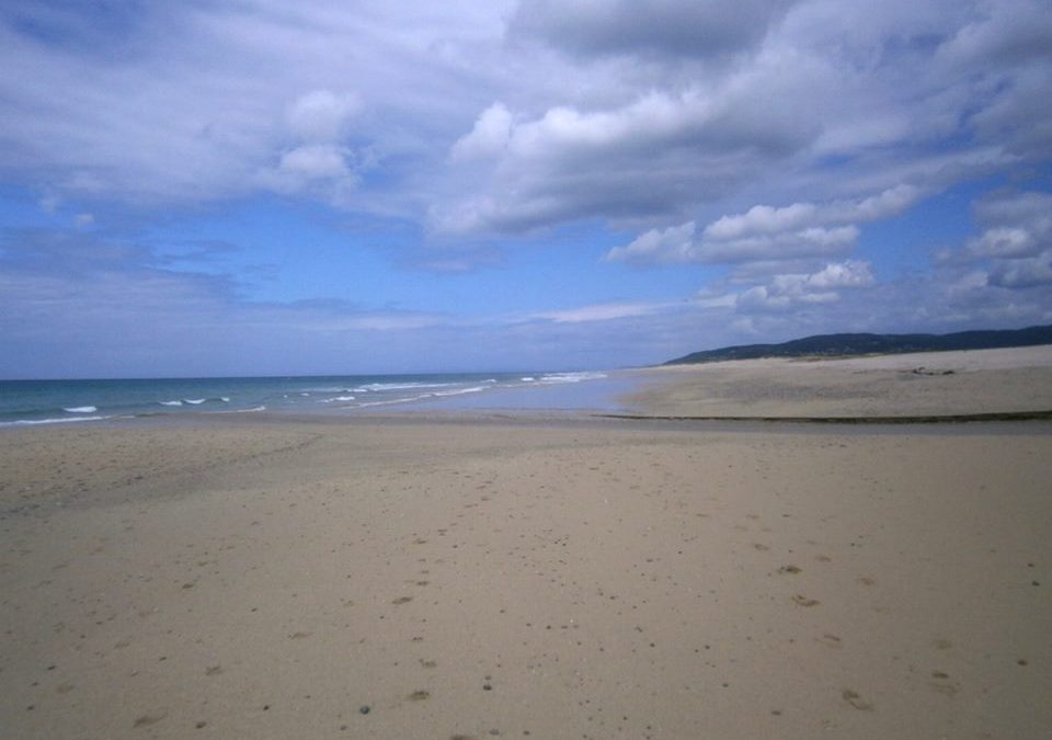 Pensamiento simiente 6 junio 2016: cuando la luz triunfe en el hombre