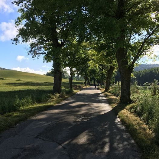 Pensamiento simiente 22 junio 2016: que os acompañen en este viaje sagrado