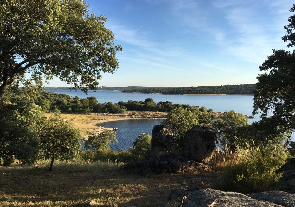 Pensamiento simiente 13 junio 2016: vibrar al unísono con toda la belleza del universo