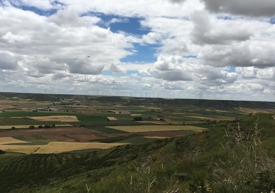 Pensamientos de noviembre: ¡Conságrate a Nuestro trabajo!