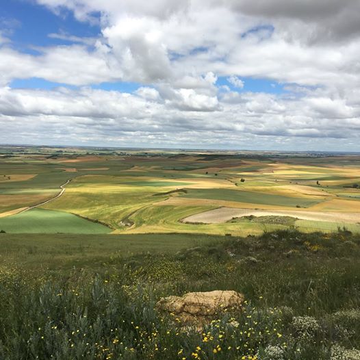 Pensamientos de octubre: tenéis la sensación de nacer a una nueva vida