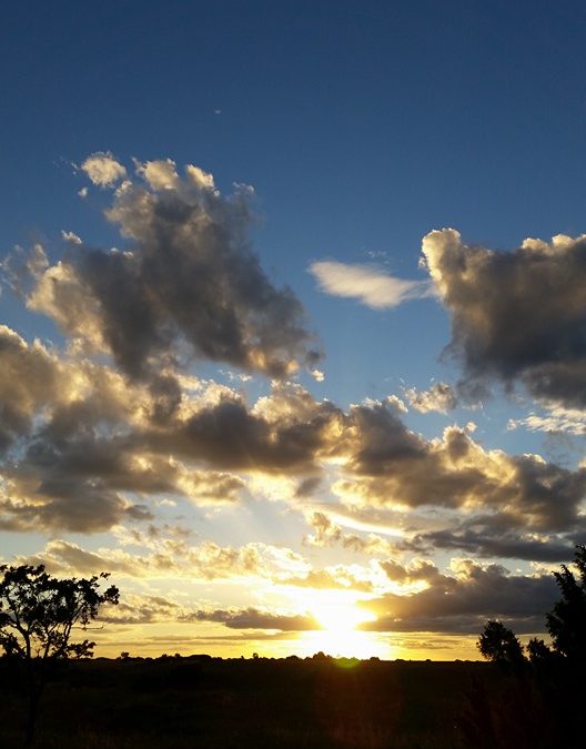 Pensamiento simiente 1 julio 2016: que se quede y habite en vosotros definitivamente…