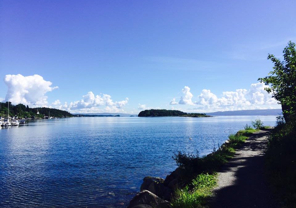 Pensamiento simiente 5 julio 2016: dar una finalidad luminosa al trabajo que ejecutáis con el pensamiento