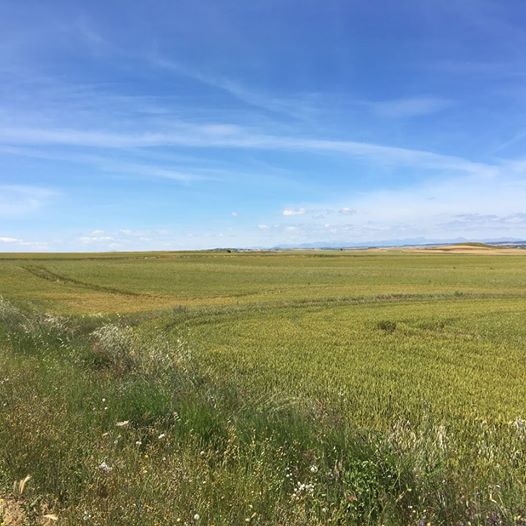 Pensamiento simiente 13 julio 2016: pensad en la luz, rodearos de luz, introducir la luz en vosotros…