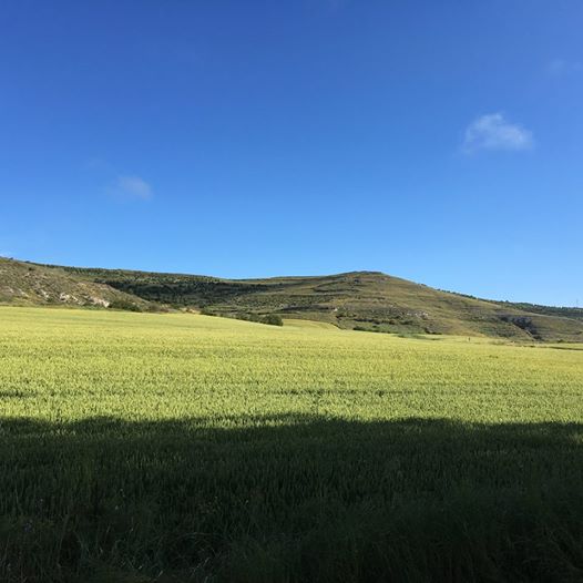 Pensamiento simiente 12 julio 2016: donde los ríos, fluyen, donde se abren las flores, donde maduran los frutos…
