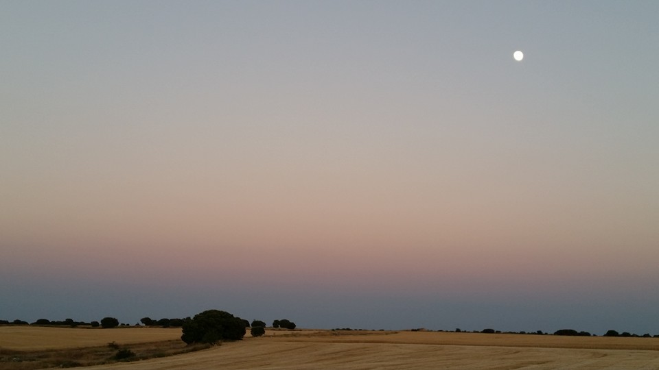 Pensamiento simiente 20 julio 2016: lo esencial nunca está en lo que os viene del exterior