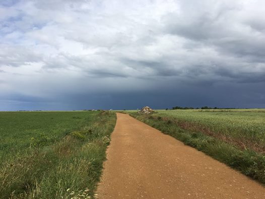 Pensamiento simiente 8 julio 2016: llegar a ser conductores del mundo divino…