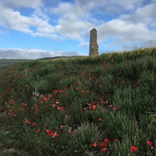 Pensamiento simiente 7 julio 2016: estoy con la pureza, estoy con la luz…