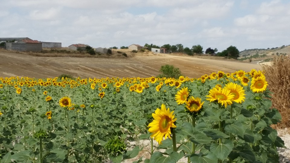 Pensamientos de agosto: cambiar la calidad de nuestras vibraciones…