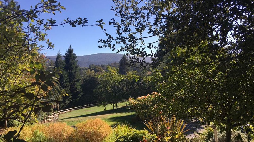 Pensamientos de septiembre: el mundo invisible existe