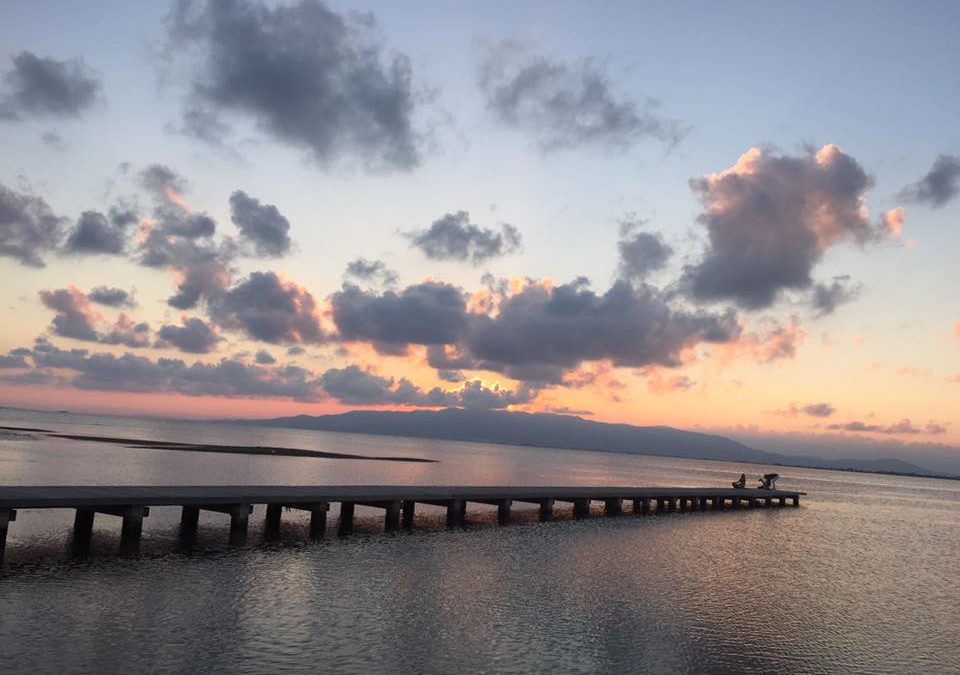 Pensamientos de octubre: la delicadeza, la sensibilidad, la armonía…