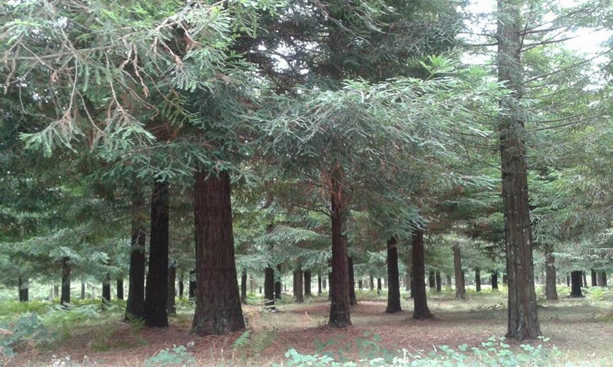 Pensamientos de octubre: un alma y un espíritu que tienen necesidad de ser alimentados..