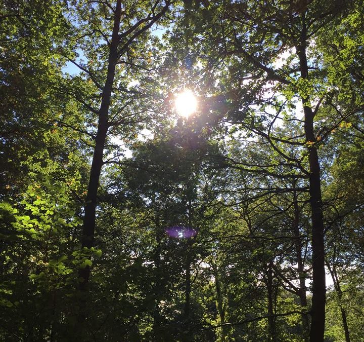 Pensamientos de octubre: volveos a levantar…, y continuad caminando