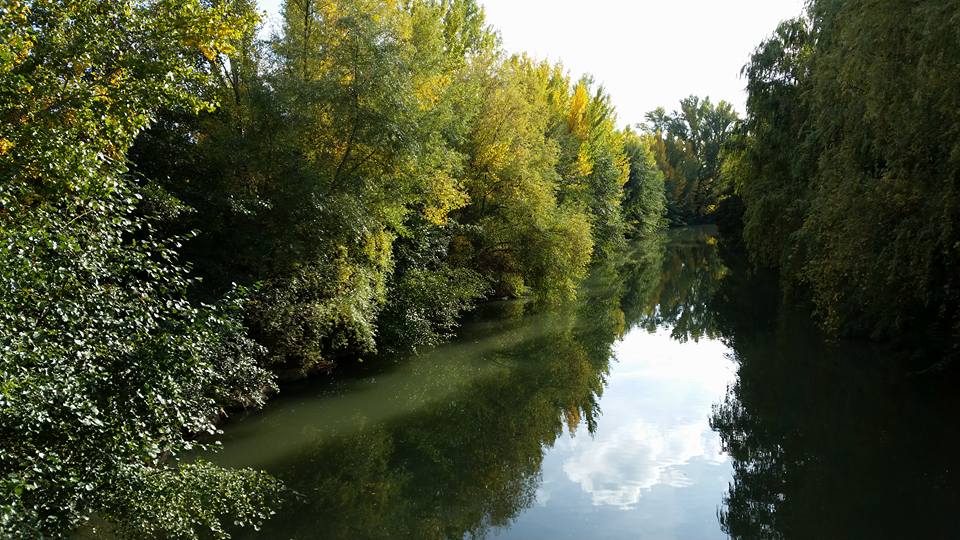 Pensamientos de octubre: pensad en esta familia universal….