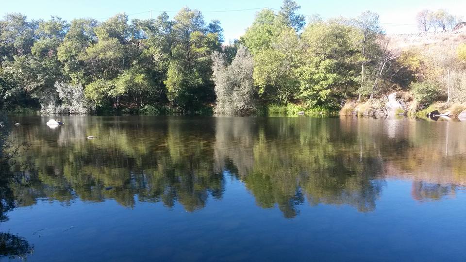 Pensamientos de octubre: la paz y la alegría nos invaden…