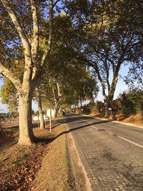 Pensamientos de noviembre: una entidad viva que os protege, os instruye, os purifica, os ilumina…